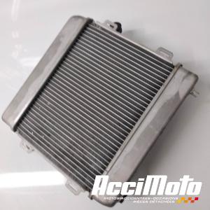 Radiateur de refroidissement HONDA FORZA NSS300