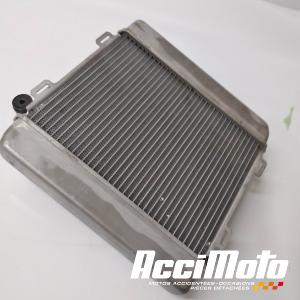 Radiateur de refroidissement HONDA FORZA NSS300