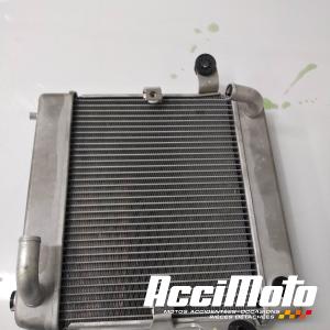 Radiateur de refroidissement HONDA FORZA NSS300