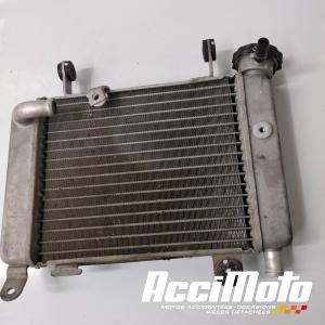 Radiateur de refroidissement HONDA CBR125