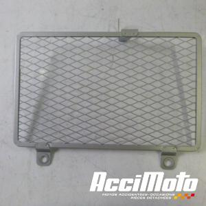 Grille de radiateur YAMAHA MT-10