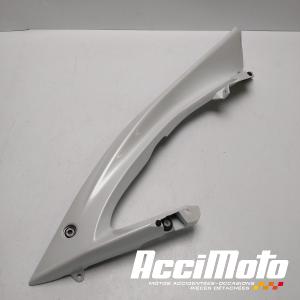 Flanc  de carénage avant (droit) YAMAHA R6 YZF600