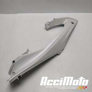 Flanc  de carénage avant (droit) YAMAHA R6 YZF600