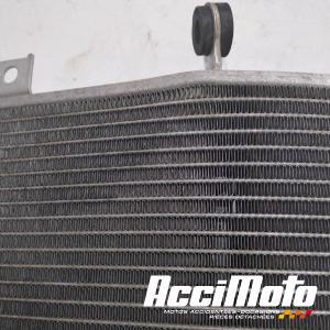 Radiateur de refroidissement KAWASAKI ZX10R