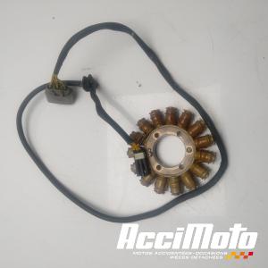 Stator d'alternateur DUCATI MULTISTRADA 1200S TOURING