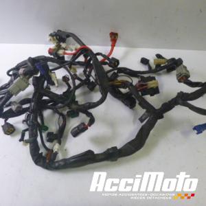 Faisceau électrique (principal) YAMAHA R1 YZF1000