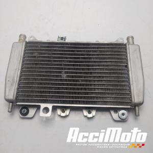 Radiateur de refroidissement PIAGGIO X10 125