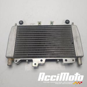 Radiateur de refroidissement PIAGGIO X10 125