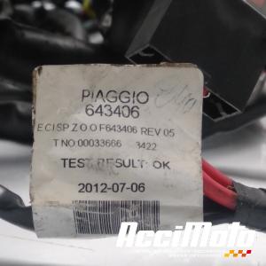 Faisceau électrique (principal) PIAGGIO X10 125