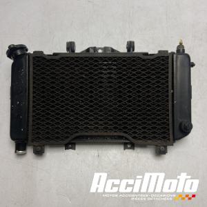 Radiateur de refroidissement YAMAHA TDM 850