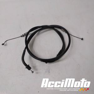 Cable d'accélérateur HONDA CBF1000