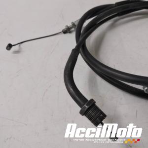 Cable d'accélérateur HONDA CBF1000