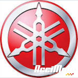 Fourche complète YAMAHA TDR 125