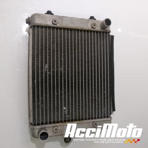 Radiateur de refroidissement CAN-AM ATV SPYDER CANAM CAN AM