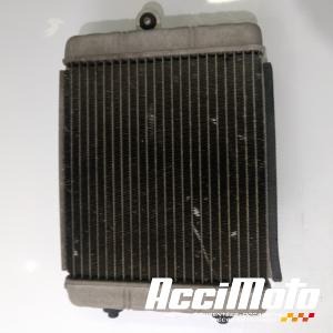 Radiateur de refroidissement CAN-AM ATV SPYDER CANAM CAN AM