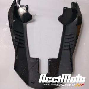 Coque arrière de carénage KAWASAKI Z 1000