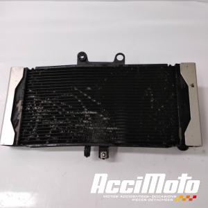 Radiateur de refroidissement SUZUKI BANDIT GSF650S