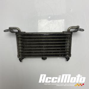 Radiateur d'huile BMW S1000 RR