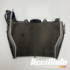 Radiateur de refroidissement BMW S1000 RR