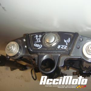 Fourche complète KAWASAKI ZZR 600