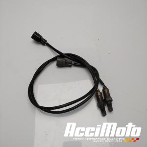 Sonde lambda KAWASAKI ZX10R