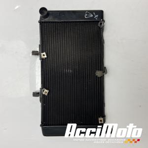 Radiateur de refroidissement HONDA HORNET CB600F