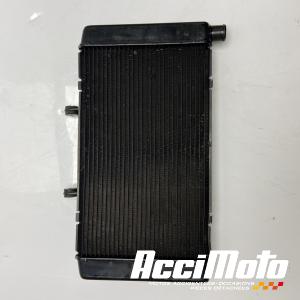 Radiateur de refroidissement HONDA HORNET CB600F