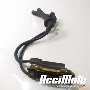 Bobine d'allumage (2/3) HONDA CBR919