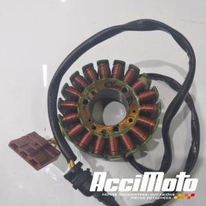 Stator d'alternateur HUSQVARNA SVARTPILEN 401