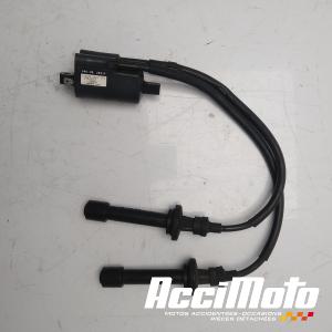 Bobine d'allumage YAMAHA TMAX XP530