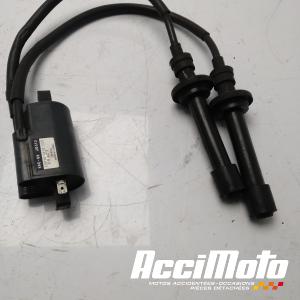 Bobine d'allumage YAMAHA TMAX XP530