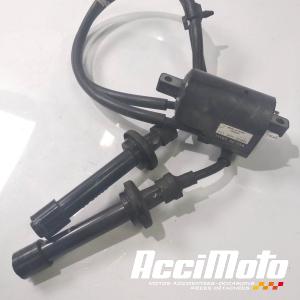Bobine d'allumage YAMAHA TMAX XP530 DX