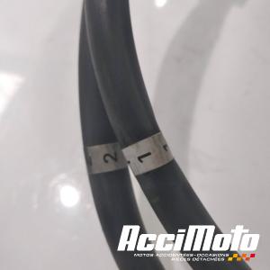 Bobine d'allumage YAMAHA TMAX XP530 DX
