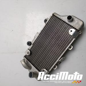 Radiateur de refroidissement HONDA AFRICA TWIN 1100 ADVENTURE SPORT 