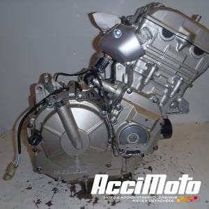 Moteur HONDA HORNET CB600F