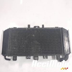 Radiateur de refroidissement YAMAHA FAZER FZS600