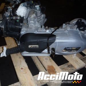 Moteur PIAGGIO PRIMAVERA