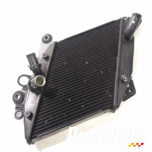 Radiateur de refroidissement DUCATI DIAVEL 1200