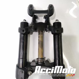 Fourche complète DUCATI DIAVEL 1200