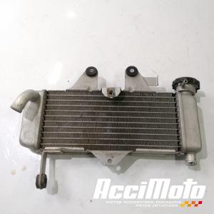 Radiateur de refroidissement HONDA VARADERO XL125V