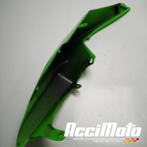 Coque arrière (droite) KAWASAKI ZX6RR