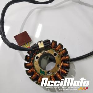 Stator d'alternateur KTM 390 RC