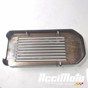 Grille de radiateur SUZUKI MARAUDER VZ800