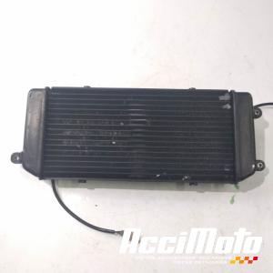 Radiateur de refroidissement SUZUKI MARAUDER VZ800