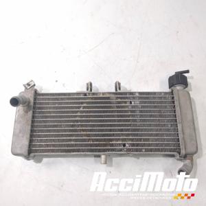 Radiateur de refroidissement APRILIA RS 125