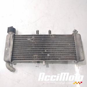 Radiateur de refroidissement APRILIA RS 125