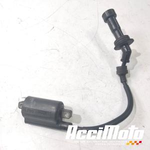 Bobine d'allumage YAMAHA TDM 850