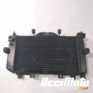 Radiateur de refroidissement YAMAHA TDM 850