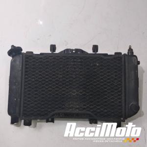 Radiateur de refroidissement YAMAHA TDM 850