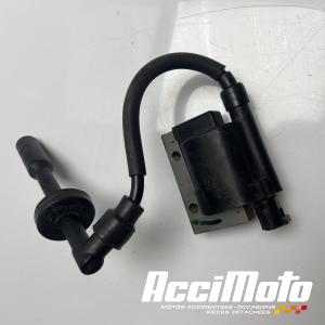 Bobine d'allumage KTM 390 DUKE